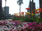 浅生1号公園の写真