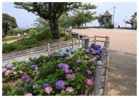 高塔山公園のマップ