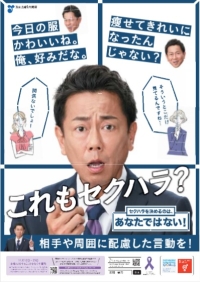 「女性に対する暴力をなくす運動」について