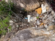 プラスチックゴミが散乱する海岸の写真