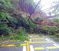 土砂崩れの様子写真