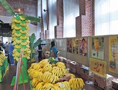 バナナ館写真