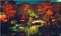 夜間ライトアップした十六夜庭園写真
