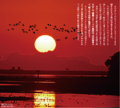 曽根干潟の日の出　写真提供：青木克磨さん