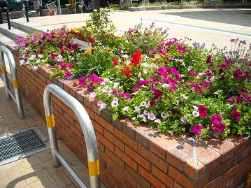 株式会社ボナーの花壇画像