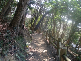 足立山森林公園の遊歩道の写真
