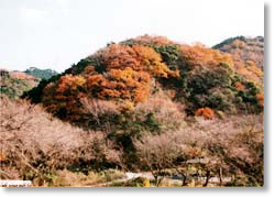 尺岳登山口（欅谷）