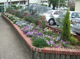 一枝市民センターの花壇