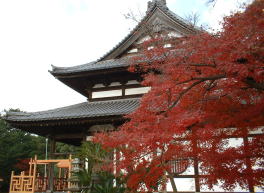 紅葉と広寿山福聚寺