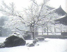 冬の広寿山福聚寺
