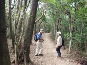 玄海遊歩道