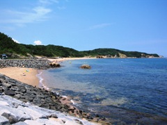 海水浴場の写真