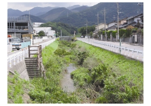 金剛川　楠橋南三丁目（金剛橋付近）の写真