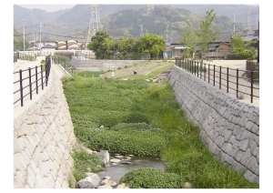 市瀬一丁目(棚田橋付近)の写真