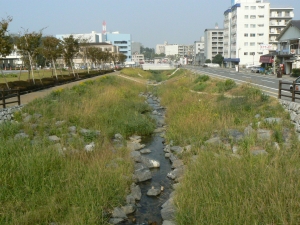 整備後（JCHO九州病院横）の画像