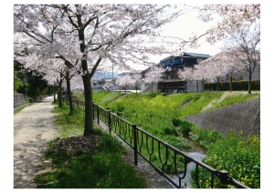 志井一丁目（モノレール志井駅付近）の写真