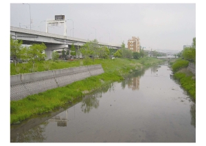 新上葛原橋付近からの川の画像