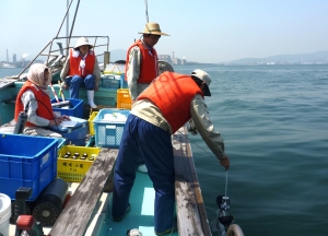 洞海湾での試料採取風景の画像