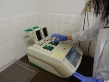 写真：PCRサーマルサイクラーを用いた遺伝子検査の様子