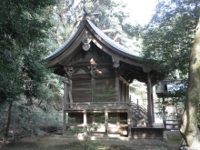 蒲生八幡神社本殿の写真
