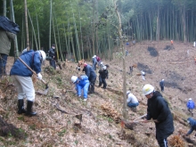 森づくり活動の画像