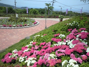 高塔山公園 北九州市