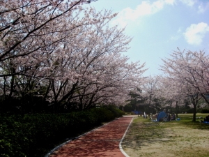 高塔山公園 北九州市