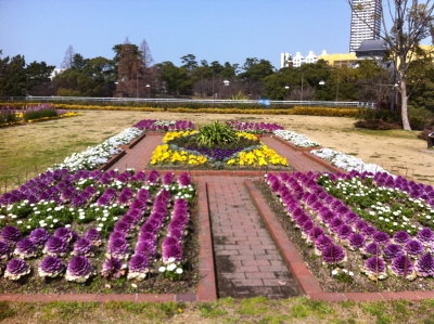 うぇるっちゃ 花壇 北九州市