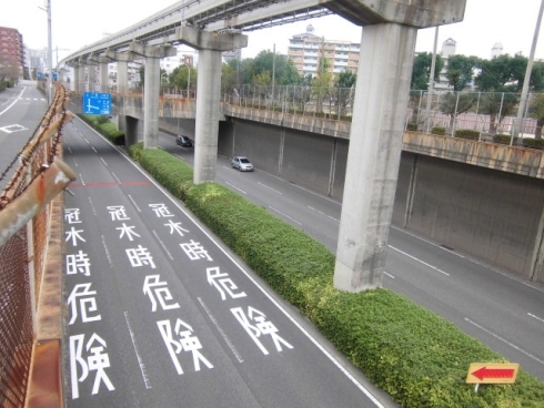 路面標示の写真