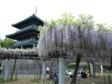 吉祥寺