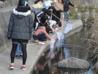 川原を掃除している様子