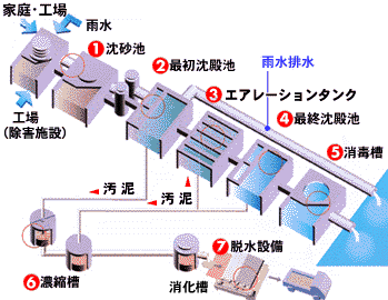 下水処理の流れの画像