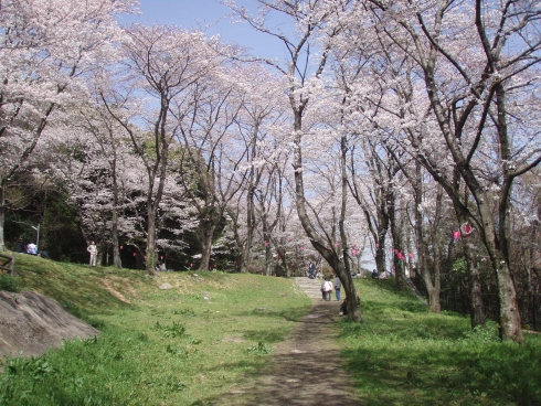 高見三条さくら公園