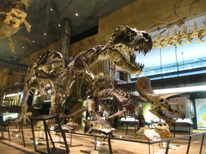 恐竜の骨格標本が並ぶ迫力のアースモール