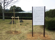 文化記念公園