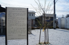 井掘小学校