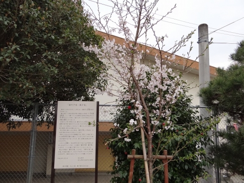 長行小学校