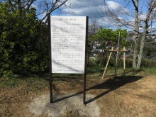 高塔山公園