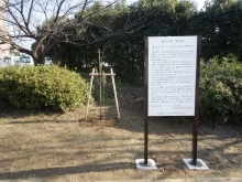 浅川中学校