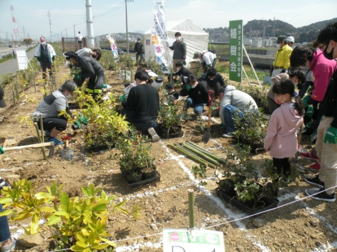 企業による植樹