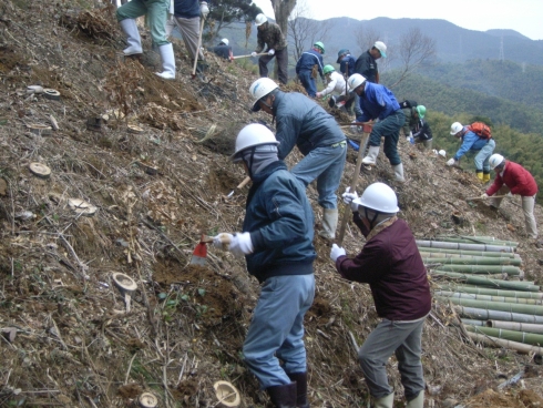 市民による植樹