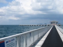 脇田海釣り桟橋の写真