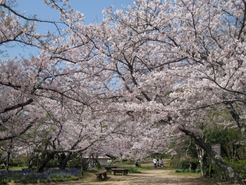 白野江植物公園