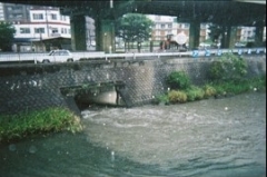 雨の日に川や海を汚す画像