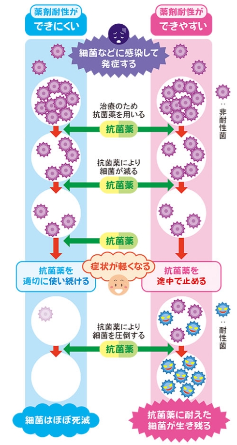 薬剤耐性の機序についての写真