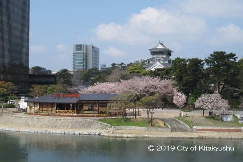 対岸からの全景写真