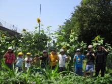 小森江東小学校の写真