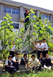 石峯中学校の写真