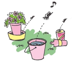 植木鉢から蚊が発生する様子