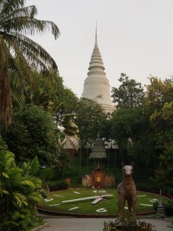 ワットプノンの朝の風景